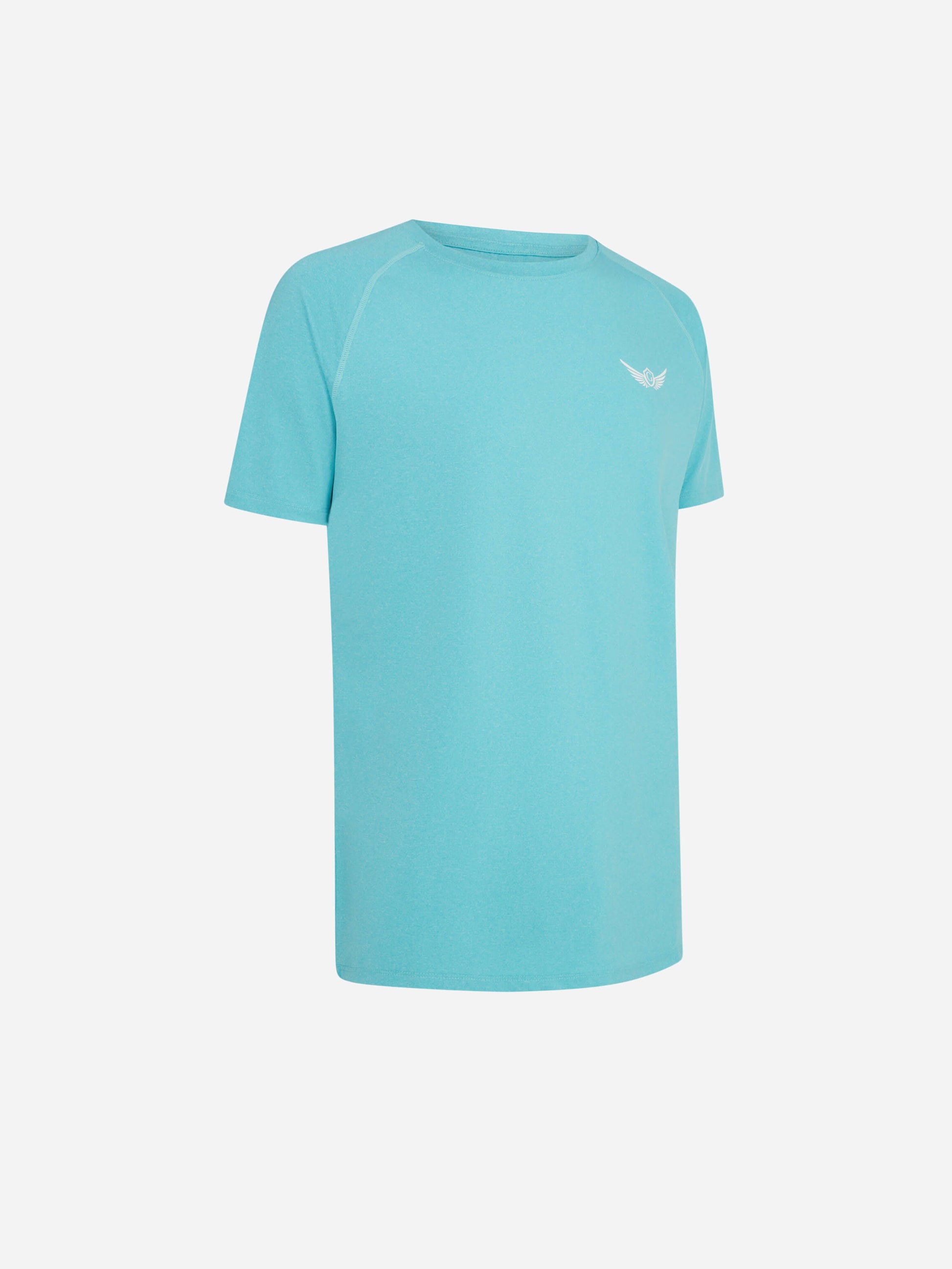 Gabe Crest T-shirt Aqua Angle