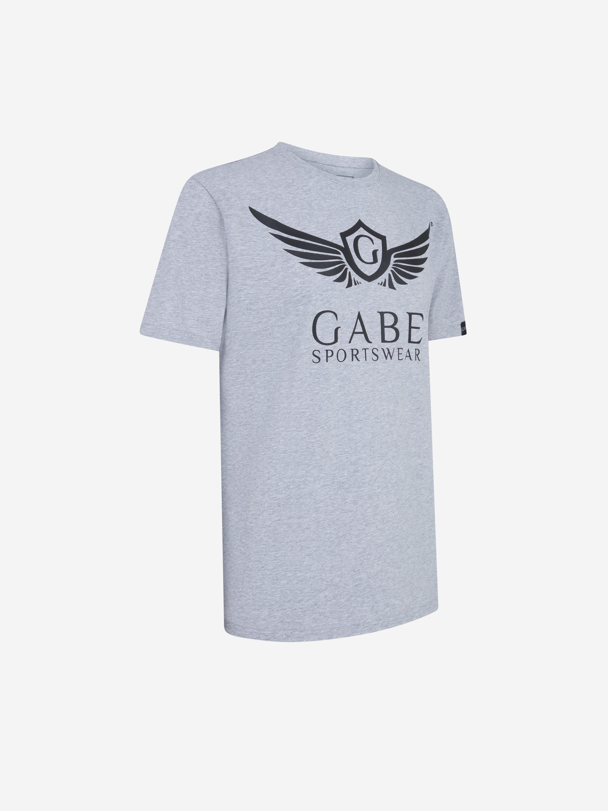 Gabe Guardian T-shirt Grey Angle