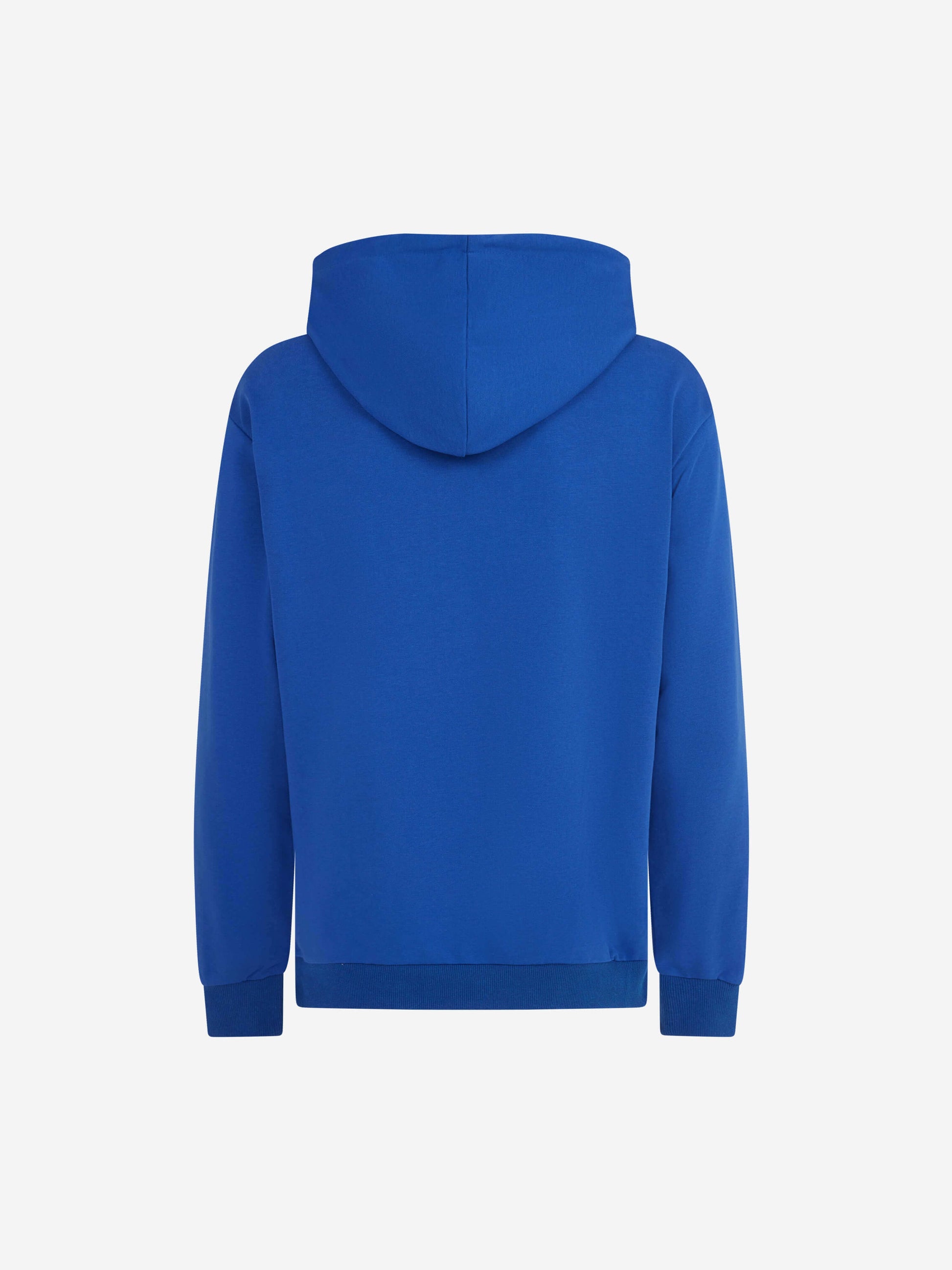 Gabe Virtuous Tracksuit Blue Hoody Back