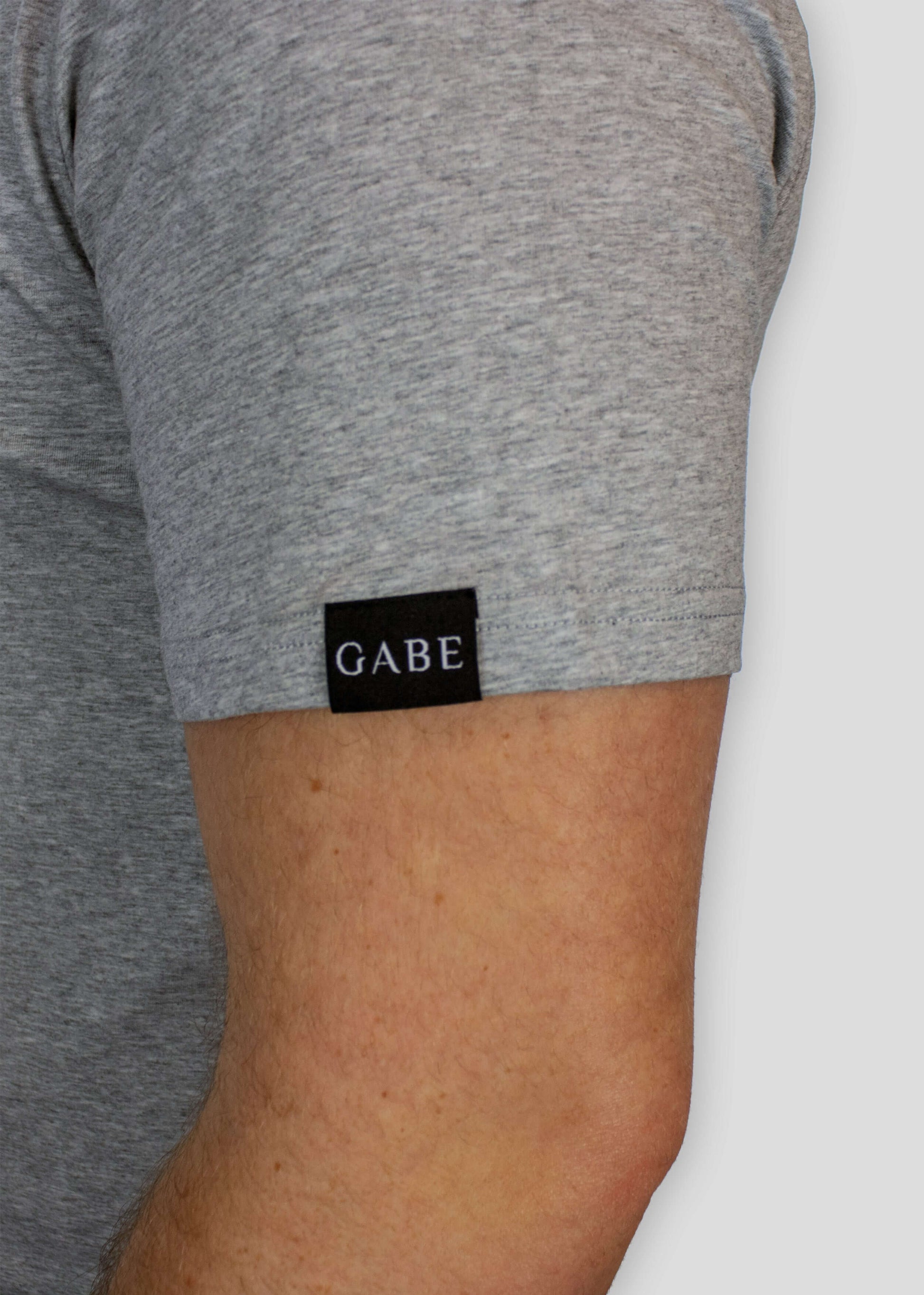 Gabe Guardian T-shirt Grey 4