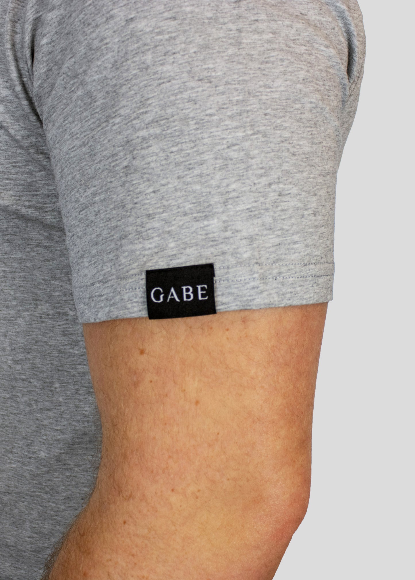 Gabe Guardian T-shirt Grey 3